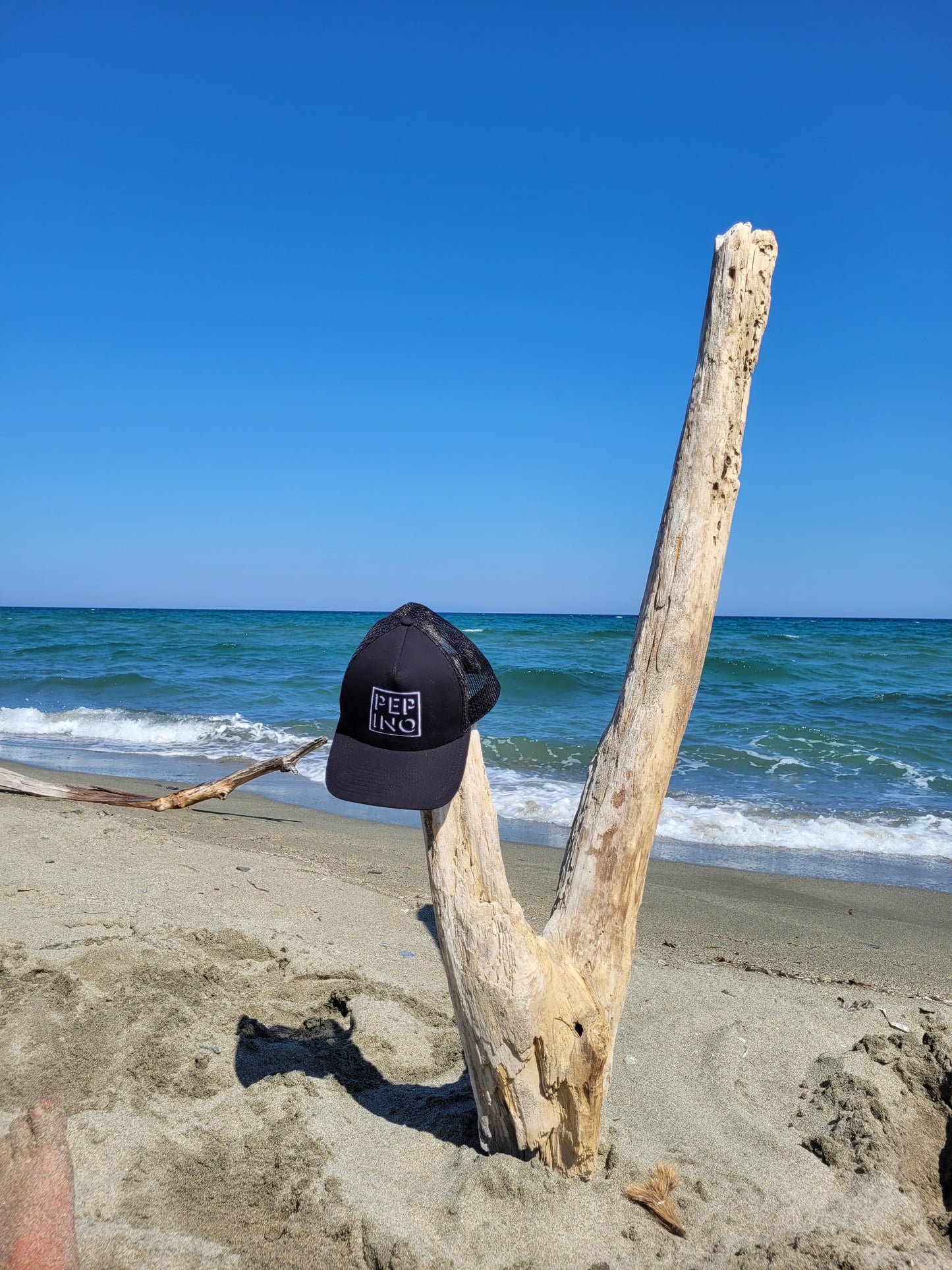 PEPINO Trucker Cap schwarz