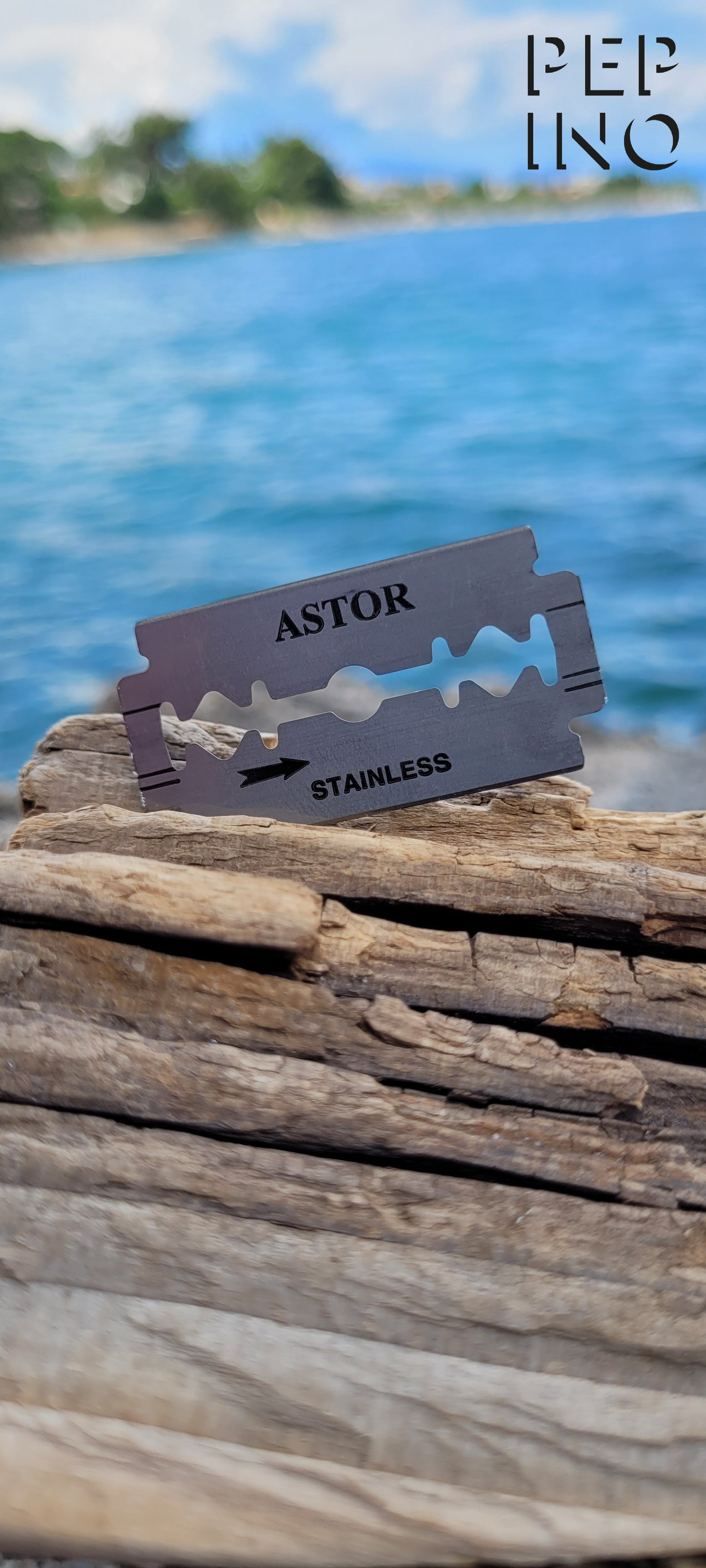 BIC ASTOR Stainless double edge Rasierklingen